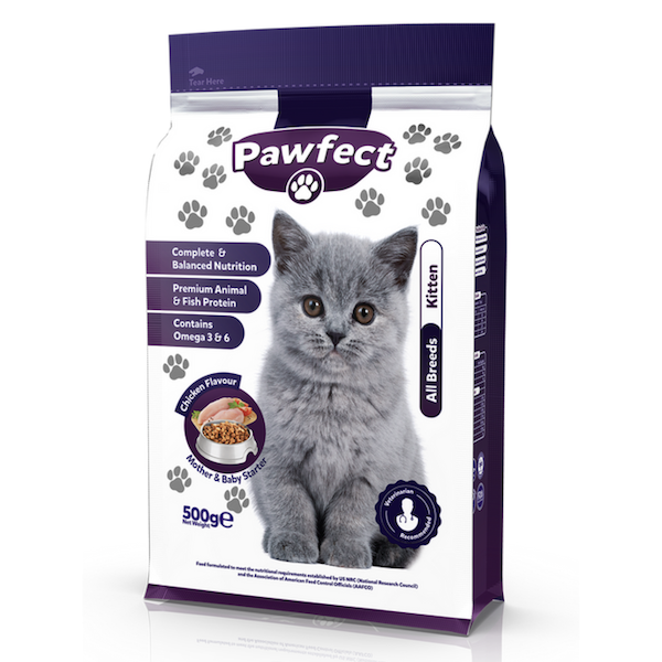 Pawfect Kitten