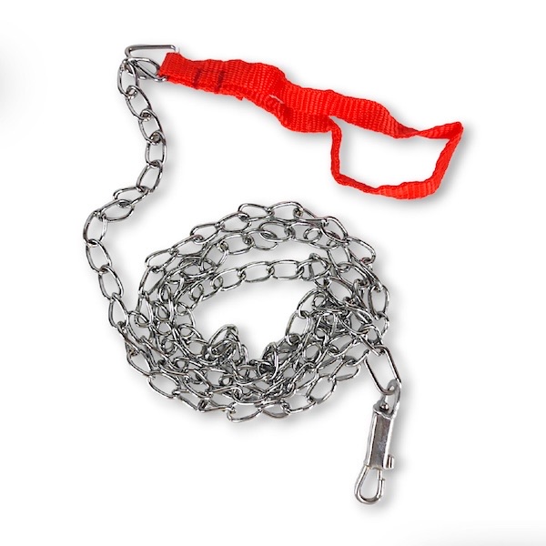 Chain Leash