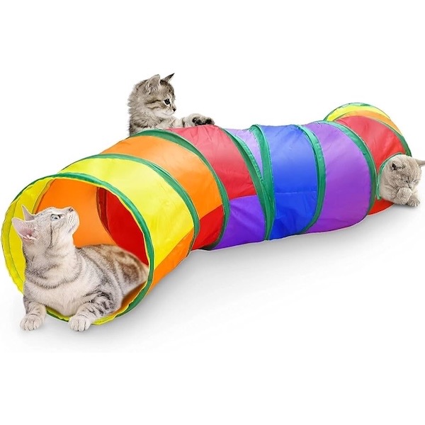 Cat Tunnel